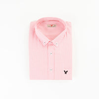 Thumbnail for AE Striped  Shirt