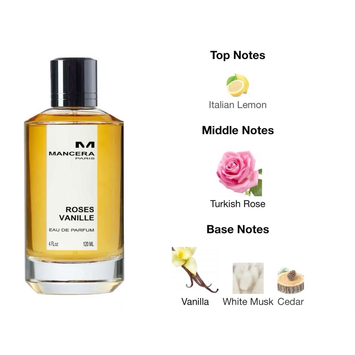 Roses Vanille