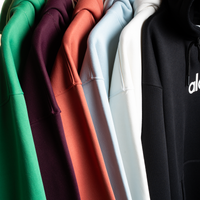 Thumbnail for ALO Hoodie